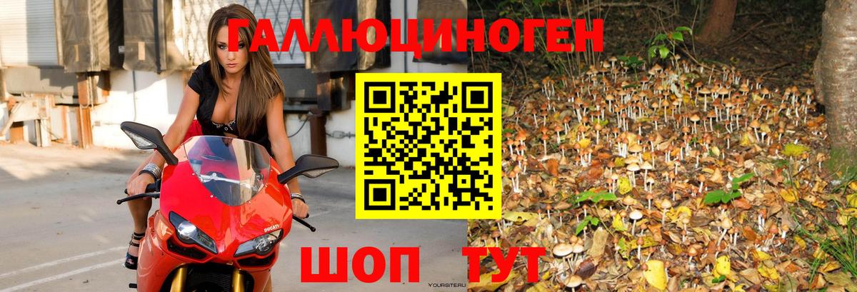 Галлюциногенные грибы Psilocybe  Вход с VPN  Воронеж 
